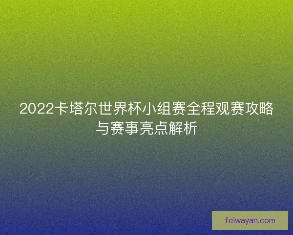 2022卡塔尔世界杯小组赛全程观赛攻略与赛事亮点解析
