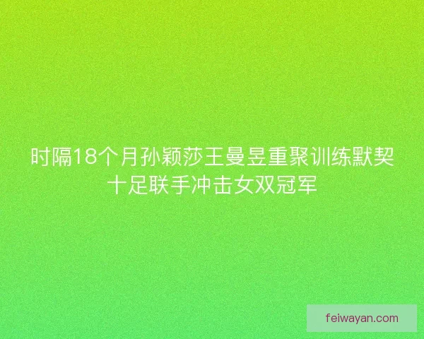 时隔18个月孙颖莎王曼昱重聚训练默契十足联手冲击女双冠军
