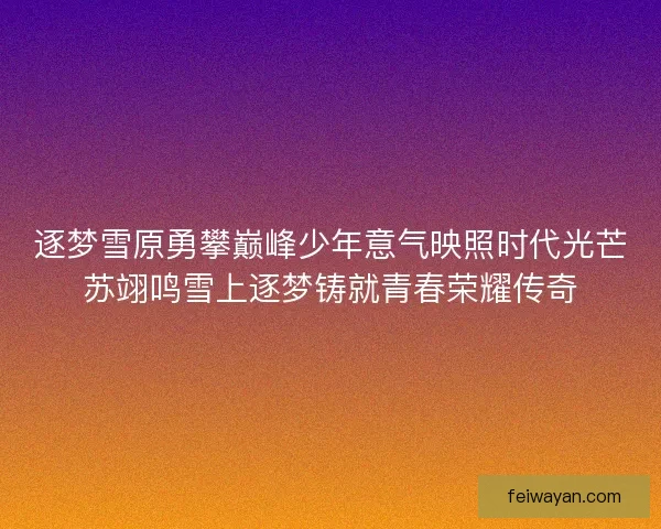逐梦雪原勇攀巅峰少年意气映照时代光芒苏翊鸣雪上逐梦铸就青春荣耀传奇